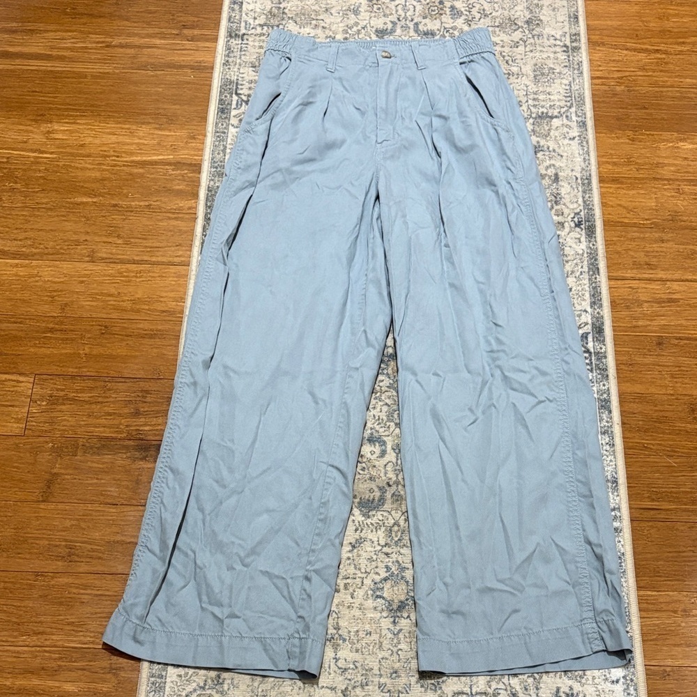 Madewell Pale Blue Wide Leg Pleated Pants